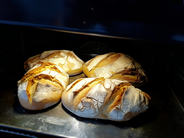 Frisch gebackenes Sauerteigbrot auf Backstahl – Die ideale Backfläche für perfekte Krustenbildung und optimale Wärmeleitung.