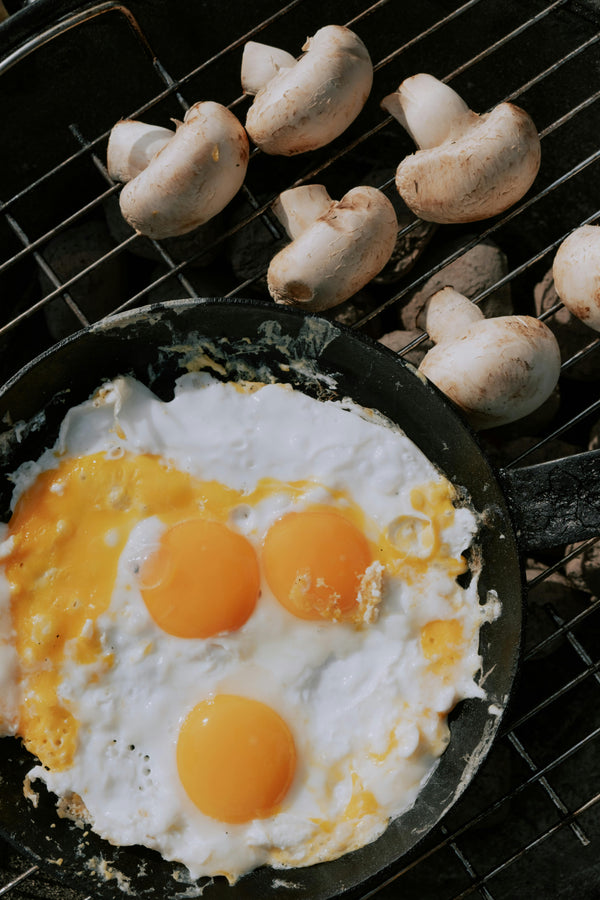 Geschmiedete Eisenpfanne | Eisenpfanne für den Ofen, alle Herdarten, Grills und offenes Feuer geeignet | in verschiedenen Grössen